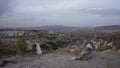 Two dogs in the hills and view on the town Goreme in Cappadoccia, Turkey