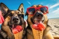 two dogs licking ice cream on beach Royalty Free Stock Photo