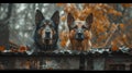 Two dogs are looking out over a fence with leaves on it, AI Royalty Free Stock Photo