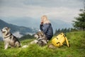 Two dogs of the Malamute breed lies on the grass in a meadow in the mountains next to a tourist girl and a backpack.