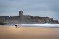 Two dogs playing at the Carcavelos Beach in a winter morning Royalty Free Stock Photo