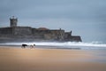 Two dogs playing at the Carcavelos Beach in a winter morning Royalty Free Stock Photo