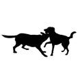 Two dogs playing and fighting, silhouettes Royalty Free Stock Photo