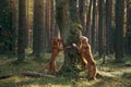 Two dogs put their paws on a tree in the forest. Hungarian Vizsla and Tolling Retriever