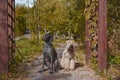 Two dogs sit side by side on the path in the autumn park. Royalty Free Stock Photo