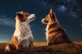 Two dogs sitting backwards and watching on night stars sky. Milkyway cosmos background