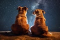 Two dogs sitting backwards and watching on night stars sky. Milkyway cosmos background