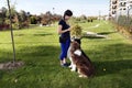 Two Dogs Sitting Training Professional Dog Handler Royalty Free Stock Photo