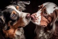 two dogs, with their heads together and tails wagging, sharing an intimate moment