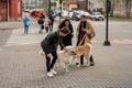 Two dogs and their young owners met at an intersection near a pedestrian crossing with people in the spring