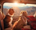 two dogs travels by car in summer. Pets on vacation