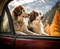 two dogs travels by car in summer. Pets on vacation