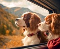 two dogs travels by car in summer. Pets on vacation