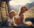 two dogs travels by car in summer. Pets on vacation