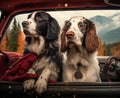 two dogs travels by car in summer. Pets on vacation