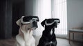 Two dogs in virtual reality glasses are sitting in an apartment.