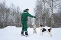 Two dogs walk outdoors in winter with an owner Royalty Free Stock Photo