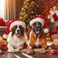 two dogs wearing santa hat at christmas