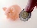 Two Dollars and a Piggy Bank Royalty Free Stock Photo