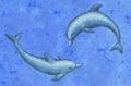 Two dolphins