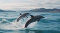 Two dolphins jumping over the water. Royalty Free Stock Photo
