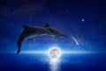 Two dolphins leap across glowing full moon that hovers low above serene sea. There are bright stars and comet in dark blue night Royalty Free Stock Photo