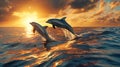 Two dolphins leaping in the sunset sky over the water Royalty Free Stock Photo