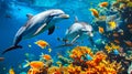 Two dolphins swimming in the ocean with corals Royalty Free Stock Photo