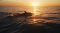 Two dolphins swimming at sunset. AI Generated Royalty Free Stock Photo