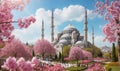 Blue mosque Istanbul at spring Royalty Free Stock Photo