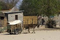 two donkeys pulling a carriage