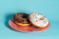Two donuts chocolate and vanilla on pink dish on blue background.