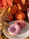 Two donuts with pink icing are on a plate. Nearby lies a bouquet of vines,