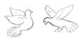 Two dove sketch Royalty Free Stock Photo