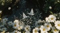 Two doves flying over stream, daisies, peace Royalty Free Stock Photo