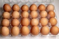 Two dozen brown eggs in an egg carton Royalty Free Stock Photo