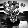 Two Dozen Roses with a Writing Journal