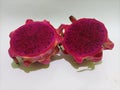 Two dragon fruit split in half layin on white background Royalty Free Stock Photo