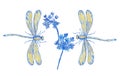 Two dragonflies blue and flowers in decoration style on white.