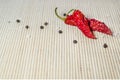 Two dried red hot pepper, sea salt and black peppercorns on a bamboo serviette Royalty Free Stock Photo