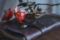 Two dried roses in tender coral pink color laying on an old travellers notebook in dark chocolate brown chapped leather cover