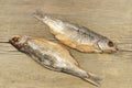 Two Dried Salt Fish, XXXL