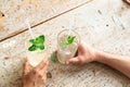 Two drinks in glasses with white straws and mint Royalty Free Stock Photo