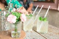 Two drinks with mint and straws in glasses Royalty Free Stock Photo