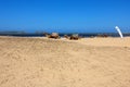 Two dromedaries Essaouira beach in Morocco, Africa