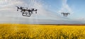 A two drone sprays a yellow field of rape against pests in a cloudy sky Royalty Free Stock Photo