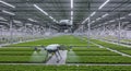 Agricultural drones flying over indoor crops modern farming technology innovation and cultivation concept Royalty Free Stock Photo