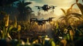 Two drones flying over corn field at sunset with sprayed fertilizer. Agriculture of smart farming