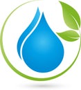 Two drops and leaves, water and wellness logo Royalty Free Stock Photo
