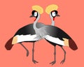 Two dstanding grey crowned cranes, vector illustration Royalty Free Stock Photo